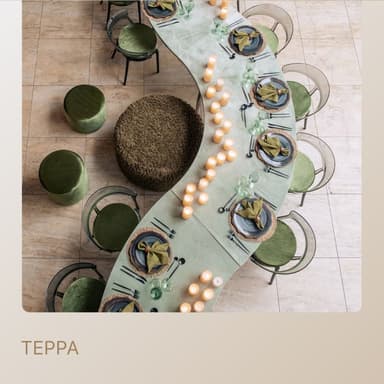 Сет ТЕРРА - на 14 персон