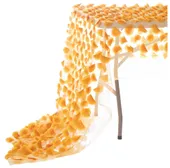 Раннер КИПНИС оранжевый #814