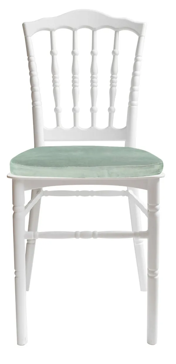 Стул белый УНИСОН с эвкалиптовой бархатной подушкой #312