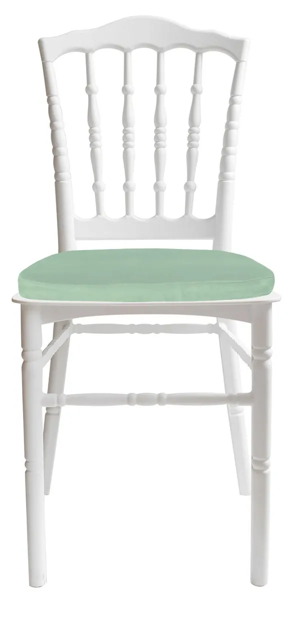 Стул белый УНИСОН с папоротниковой бархатной подушкой #412