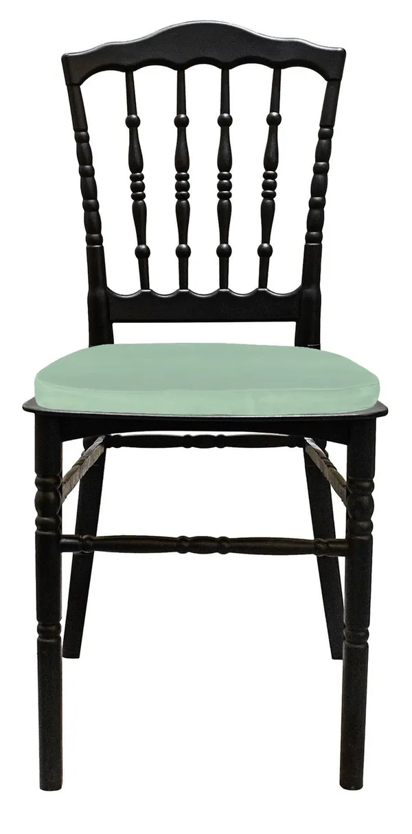 Стул черный УНИСОН с папоротниковой бархатной подушкой #412