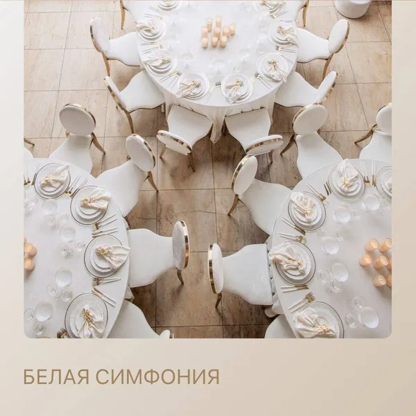 Сет БЕЛАЯ СИМФОНИЯ - на 30 персон