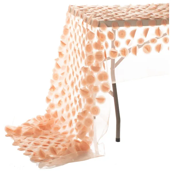 Раннер КИПНИС пудровый #813