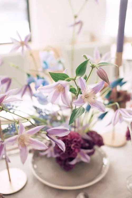 Лавандовые оттенки за прямоугольным столом