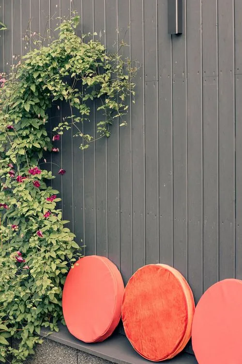 Пикник на природе