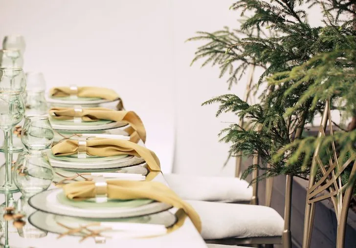 Полевой сет за зеркальным прямоугольным столом