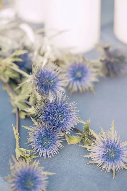 Серо-голубой сет с чернильными акцентами