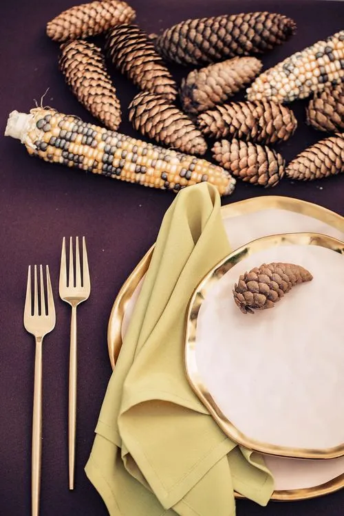 Шоколадный сет с шишками